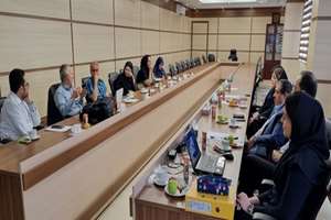 جلسه سالانه گزارش پیشرفت و کنترل کیفی سیستم ثبت آنژیوگرافی و آنژیوپلاستی عروق کرونر قلب برگزار گردید.